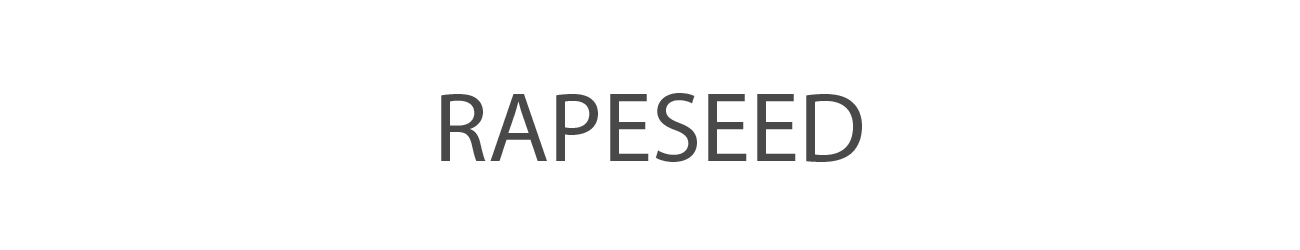 RAPESEED